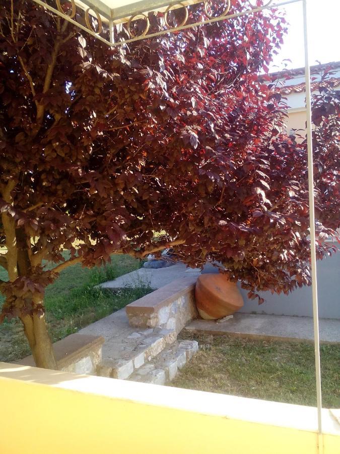 Studios Στουσ Πυργουσ Θερμησ Mytilene Bagian luar foto